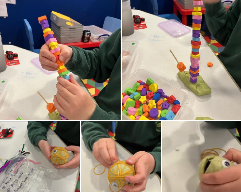 Fine motor muscles